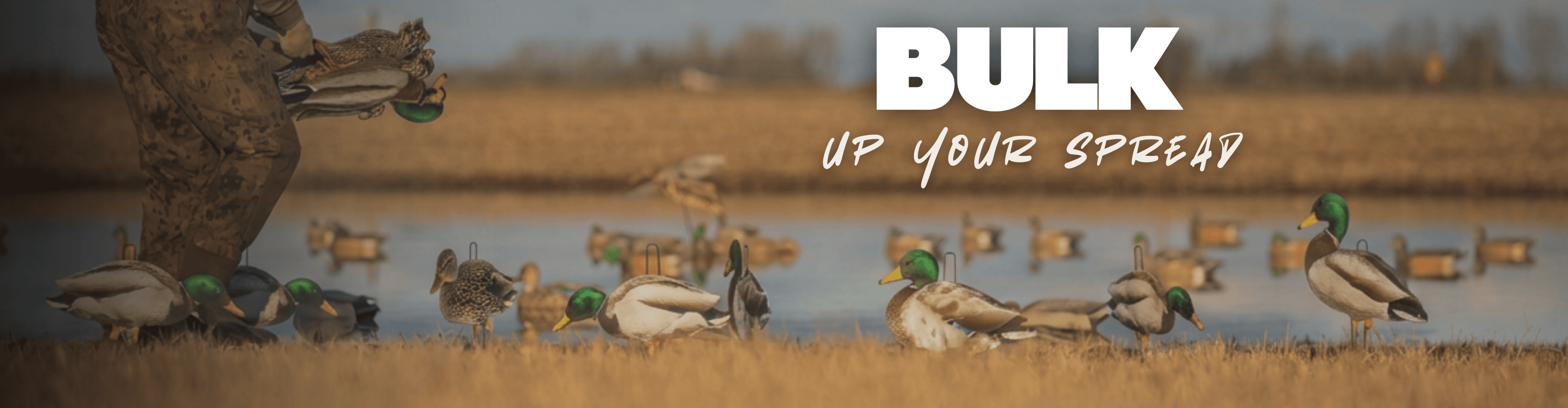 Mallard duck decoys